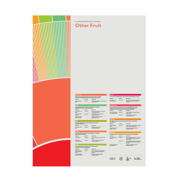 sca flavor perception in coffee other fruit poster