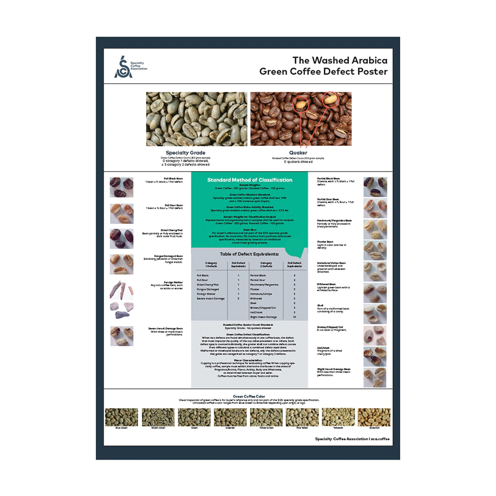 sca green arabica coffee classification system poster