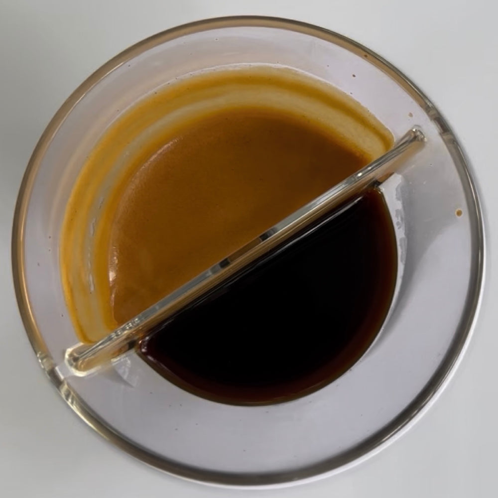 Squeaky Esplorer Cup – Explore your Espresso (Tritan)