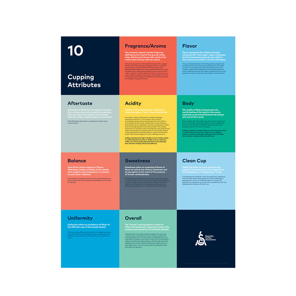 sca the cupping attributes poster