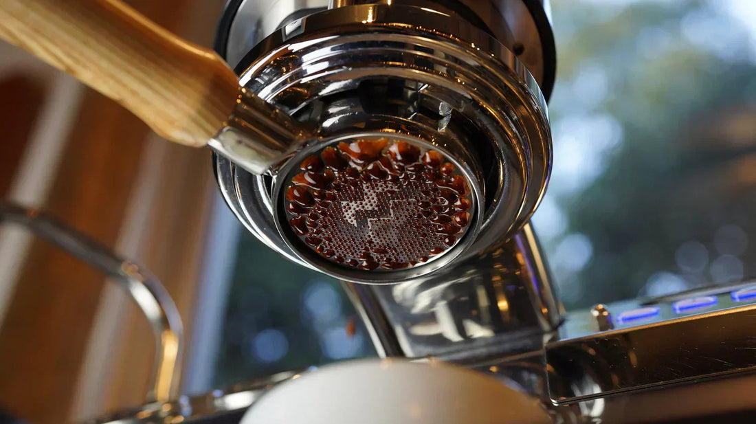 Portafilter Baskets Explained: Standard vs Precision vs VST Baskets