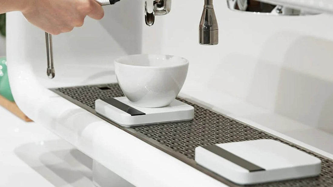 How to Choose the Right Coffee Scale