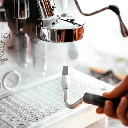 JoeFrex Steam Brush – Cleaning For Espresso Machine Group Heads
