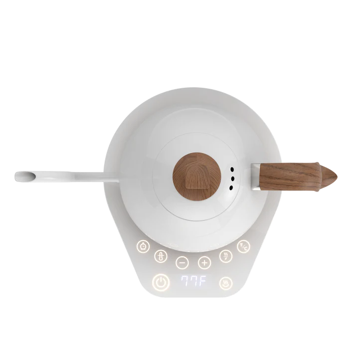 Brewista Artisan Variable Gooseneck Kettle – 1.0L Electric  Kettle