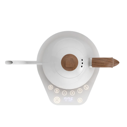 Brewista Artisan Variable Gooseneck Kettle – 1.0L Electric  Kettle