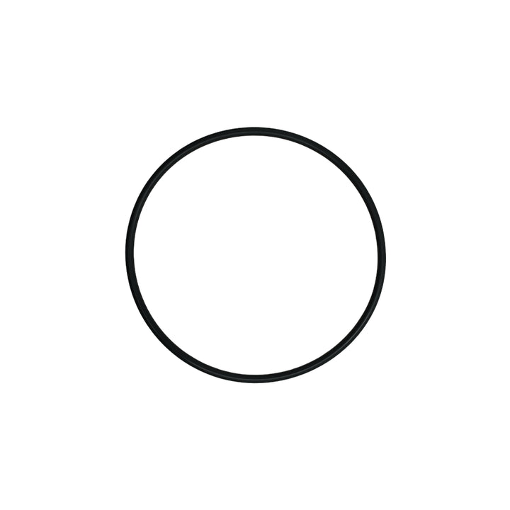 Slayer Group Cap O Ring