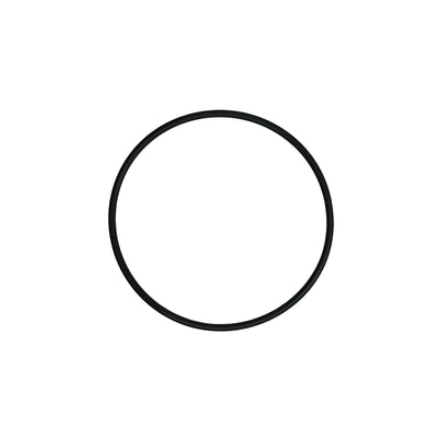 Slayer Group Cap O Ring