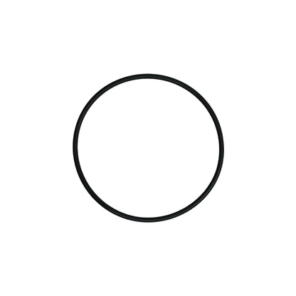 Slayer Group Cap O Ring