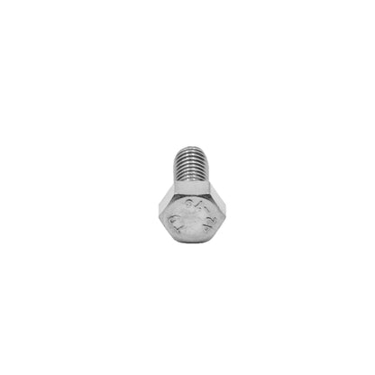 Conti - 5x10 TH Stainless Steel Screw