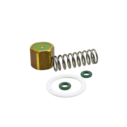 Slayer Steam Valve Rebuild Kit (Spring, PTFE Washer, Plunger W/ Gasket, O-Rings)