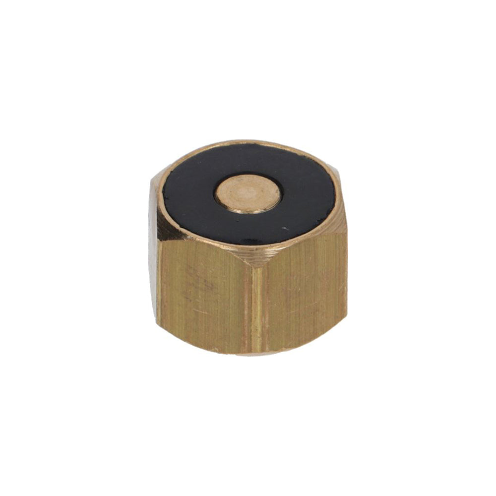 Victoria Arduino Complete Steam Valve Piston – Brewing Gadgets UAE