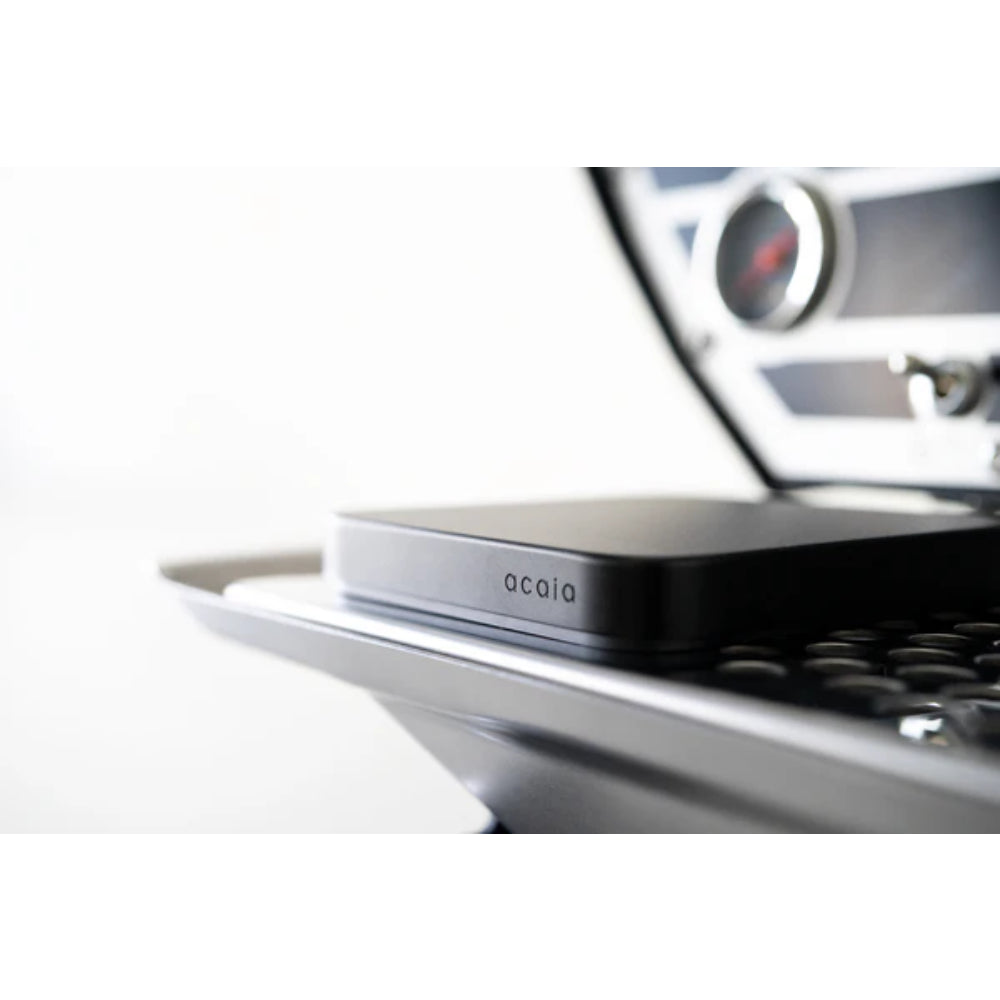 Acaia Umbra (Display Free)