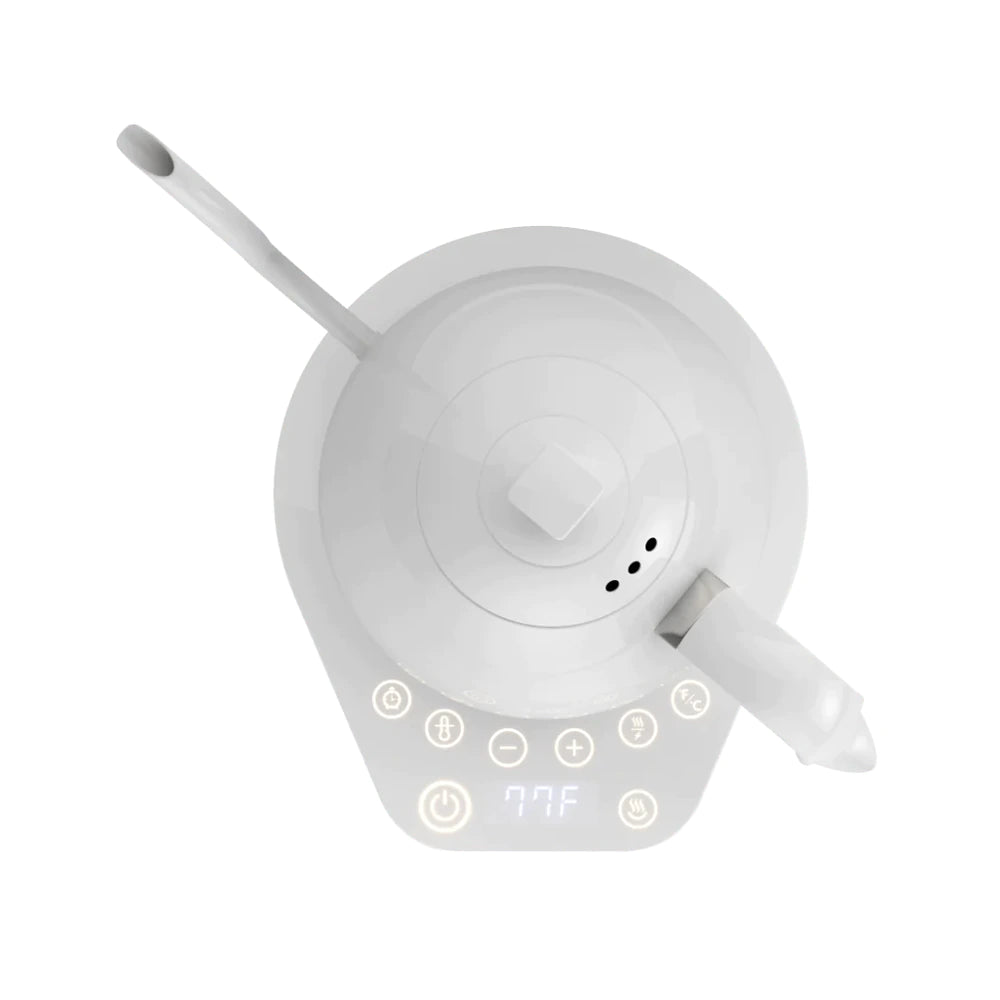 Brewista Artisan Variable Gooseneck Kettle – 1.0L Electric  Kettle