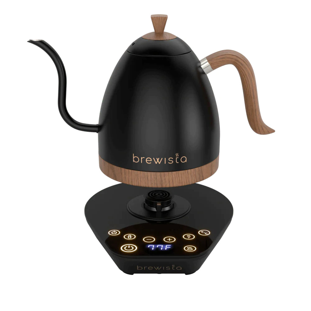Brewista Artisan Variable Gooseneck Kettle – 1.0L Electric  Kettle