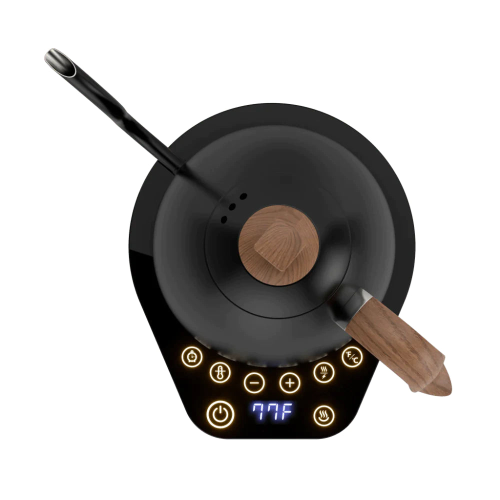 Brewista Artisan Variable Gooseneck Kettle – 1.0L Electric  Kettle