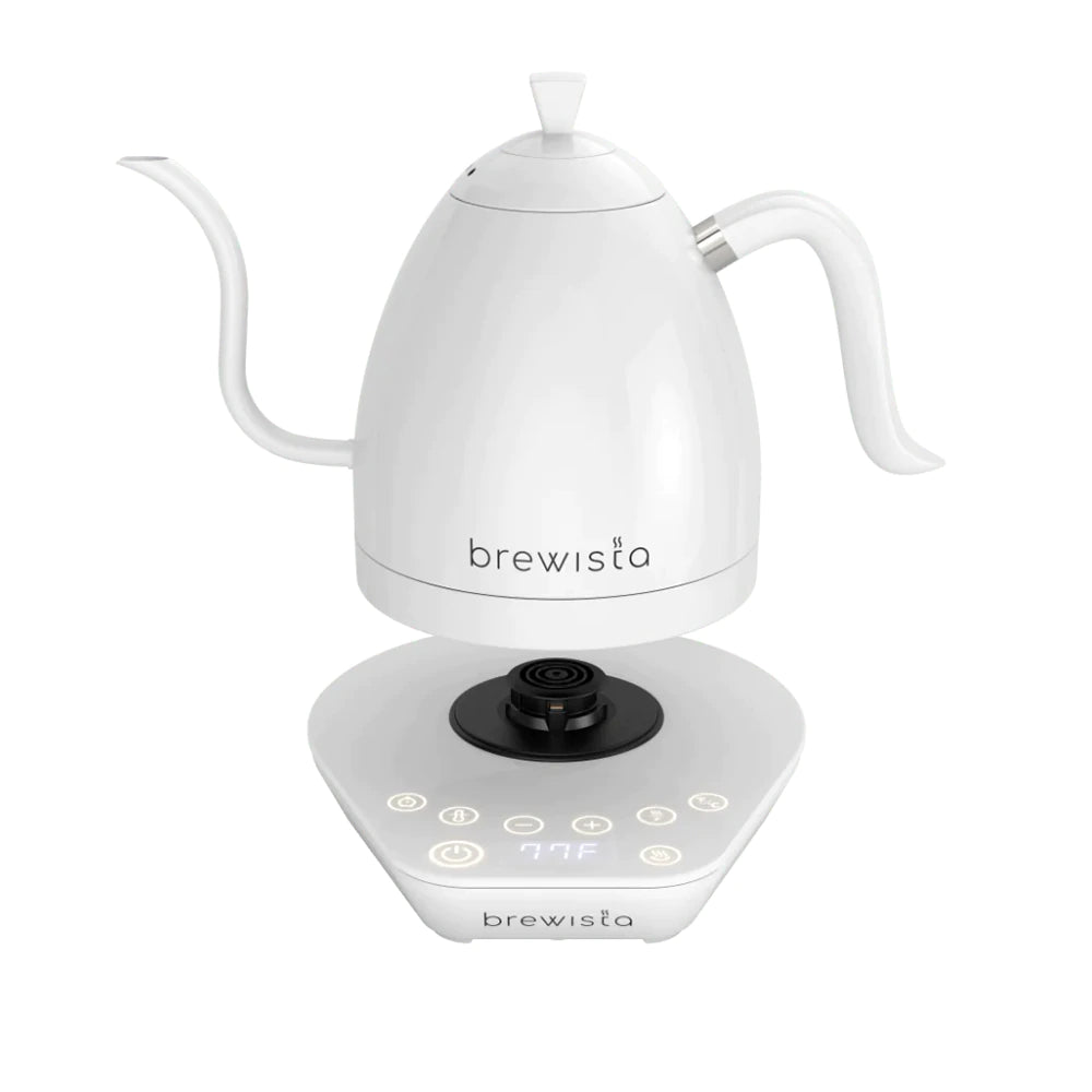 Brewista Artisan Variable Gooseneck Kettle – 1.0L Electric  Kettle