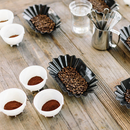 Barista Hustle Cupping Bowls