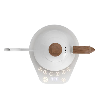 Brewista Artisan Electric Gooseneck Kettle, 1L - Matt White