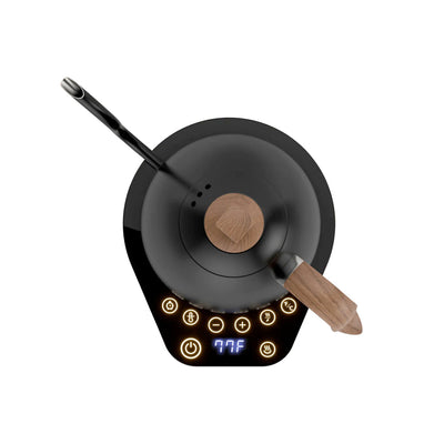 Brewista Artisan Variable Gooseneck Kettle – 1.0L Electric  Kettle