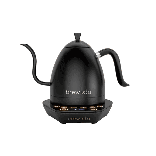 Brewista Artisan Variable Gooseneck Kettle – 1.0L Electric  Kettle