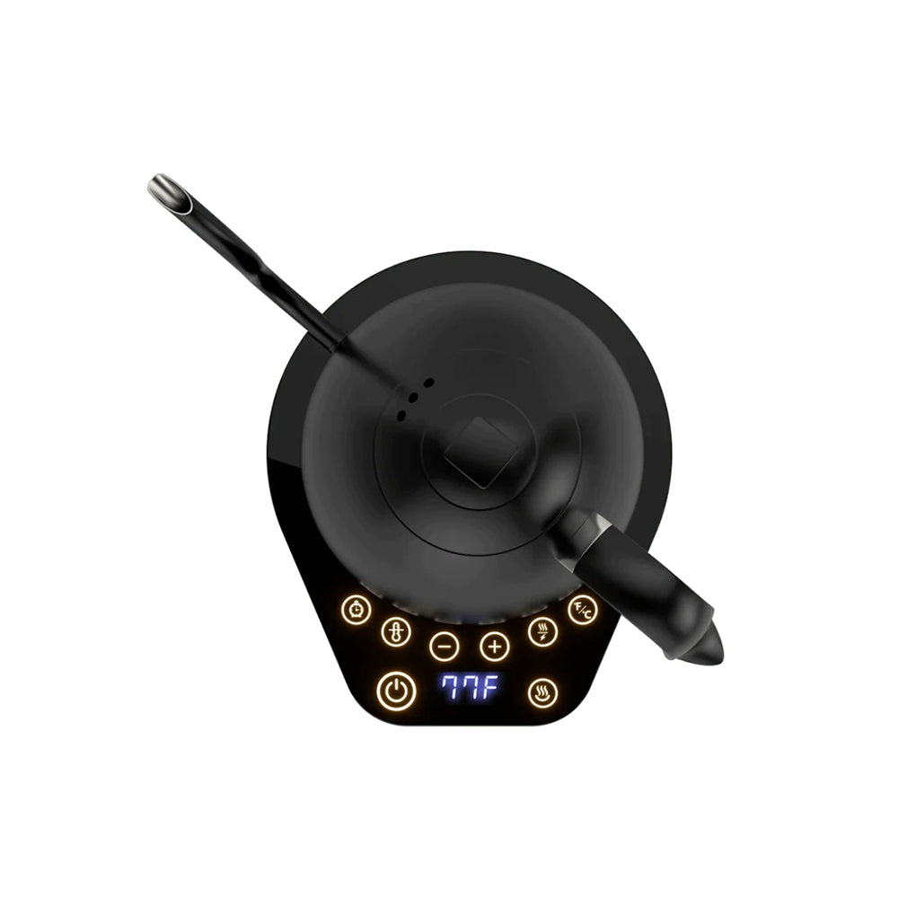 Brewista Artisan Variable Gooseneck Kettle – 1.0L Electric  Kettle