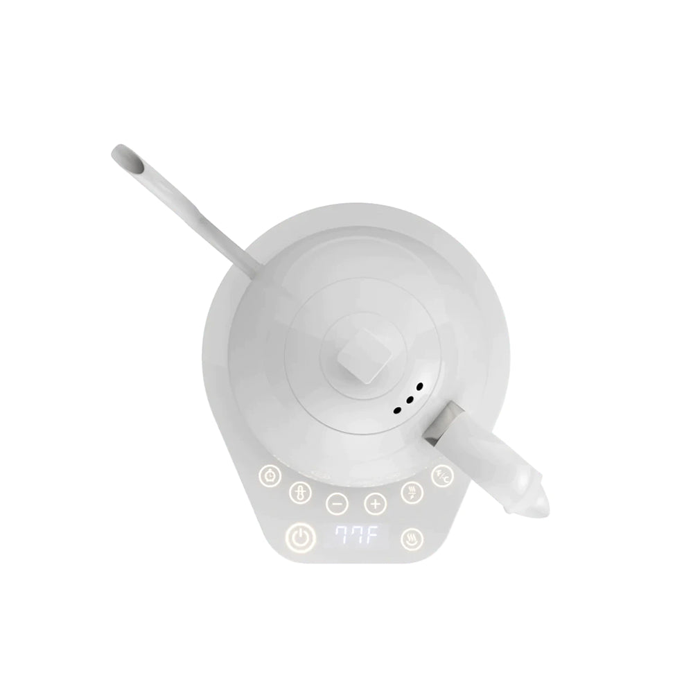 Brewista Artisan Variable Gooseneck Kettle – 1.0L Electric  Kettle