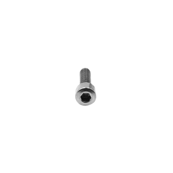Kees Van Der Westen Allen bolt din912 M4x14mm; s.st.