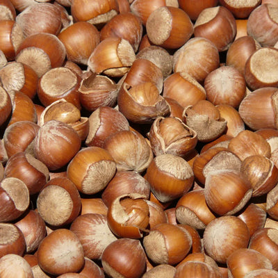 Davinci Hazelnut Flavor Syrup - 750ml