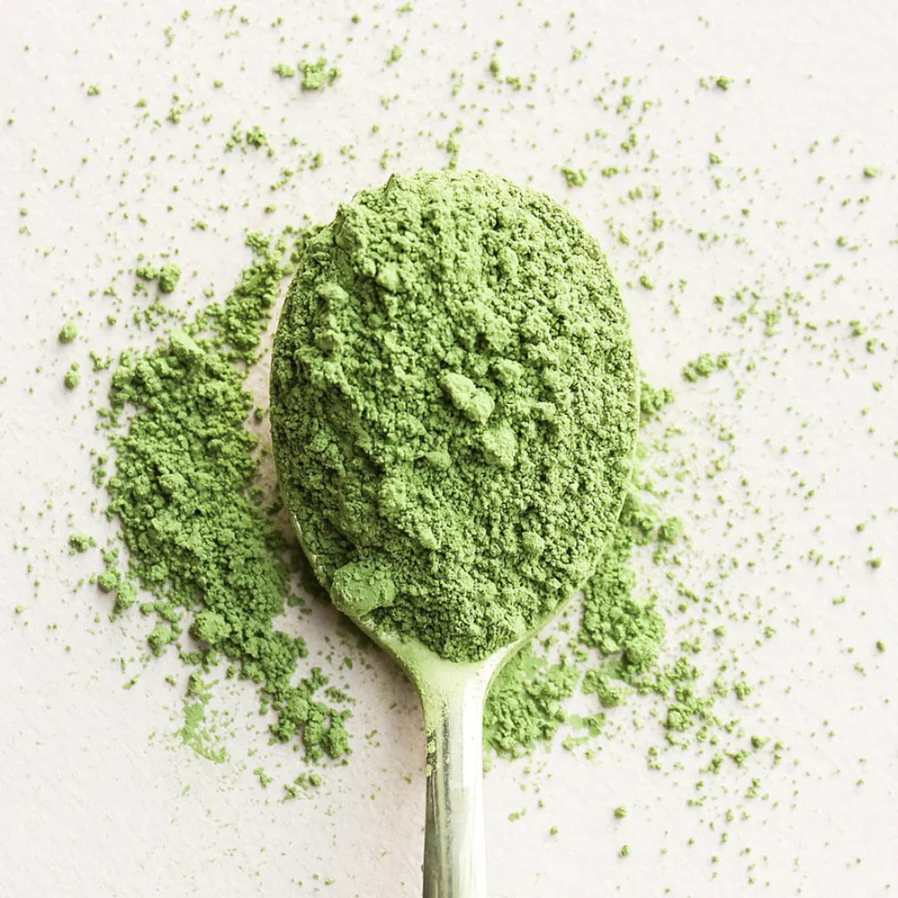 Davinci Matcha - 1KG