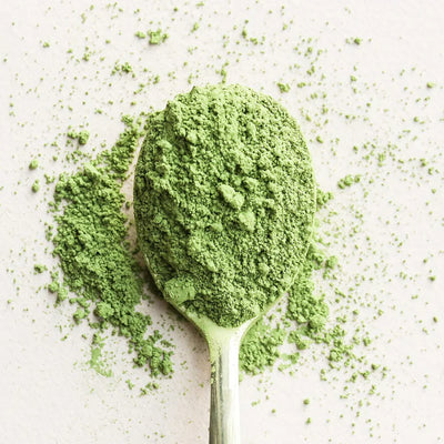 Davinci Matcha - 1KG