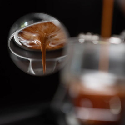 Flair 58 Plus 2 Espresso Maker in Travel Hard Case