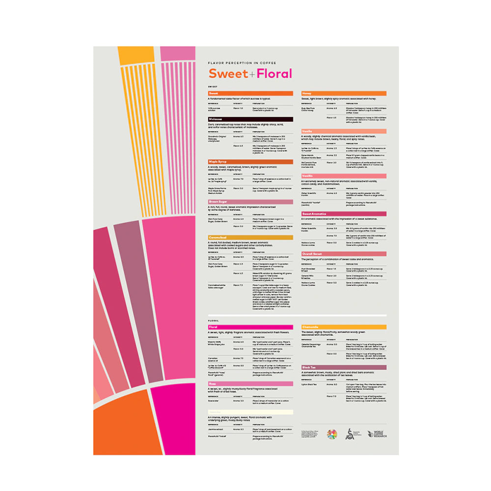 SCA Flavor Perception in Coffee – Sweet Floral Poster