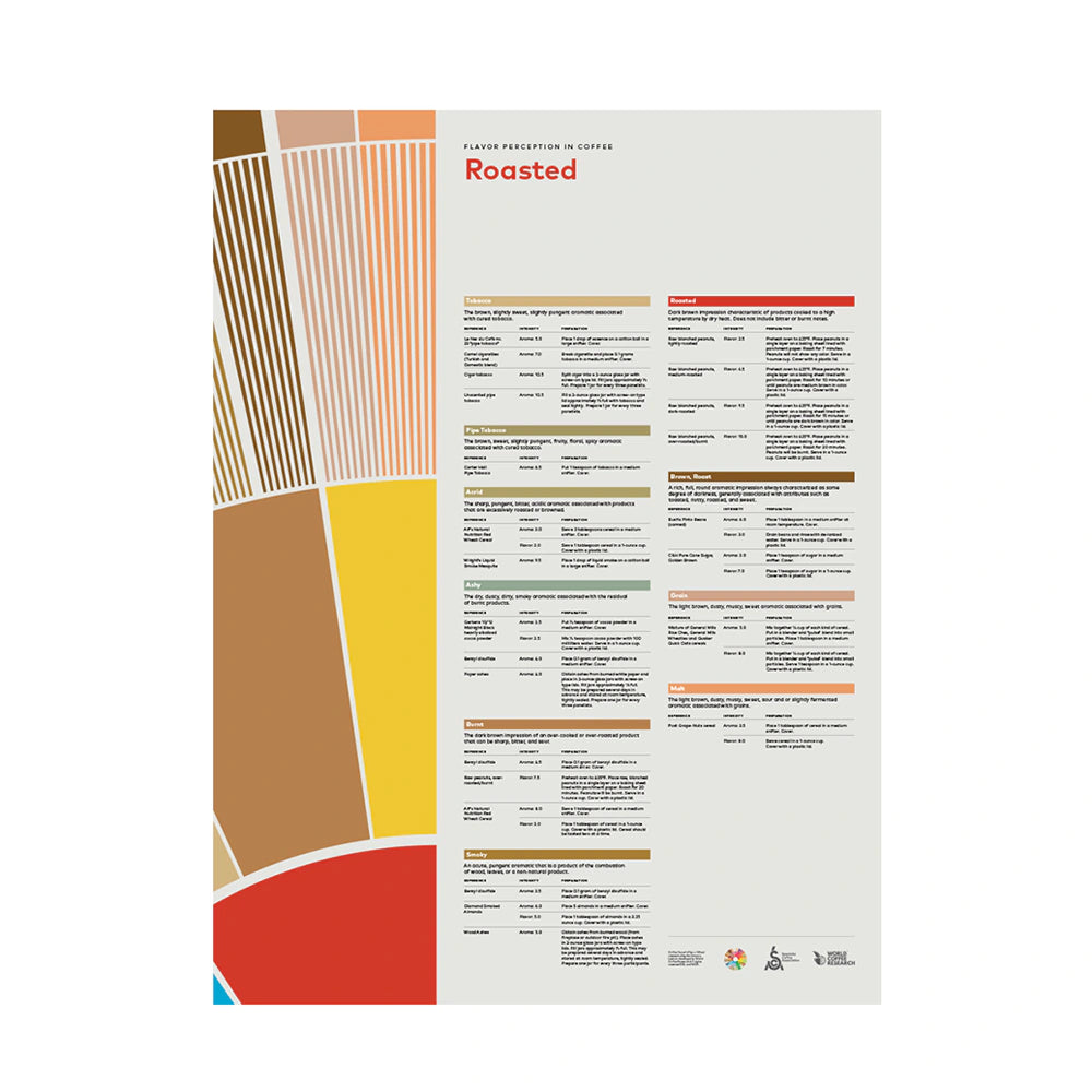 SCA Flavor Perception in Coffee – Roasted