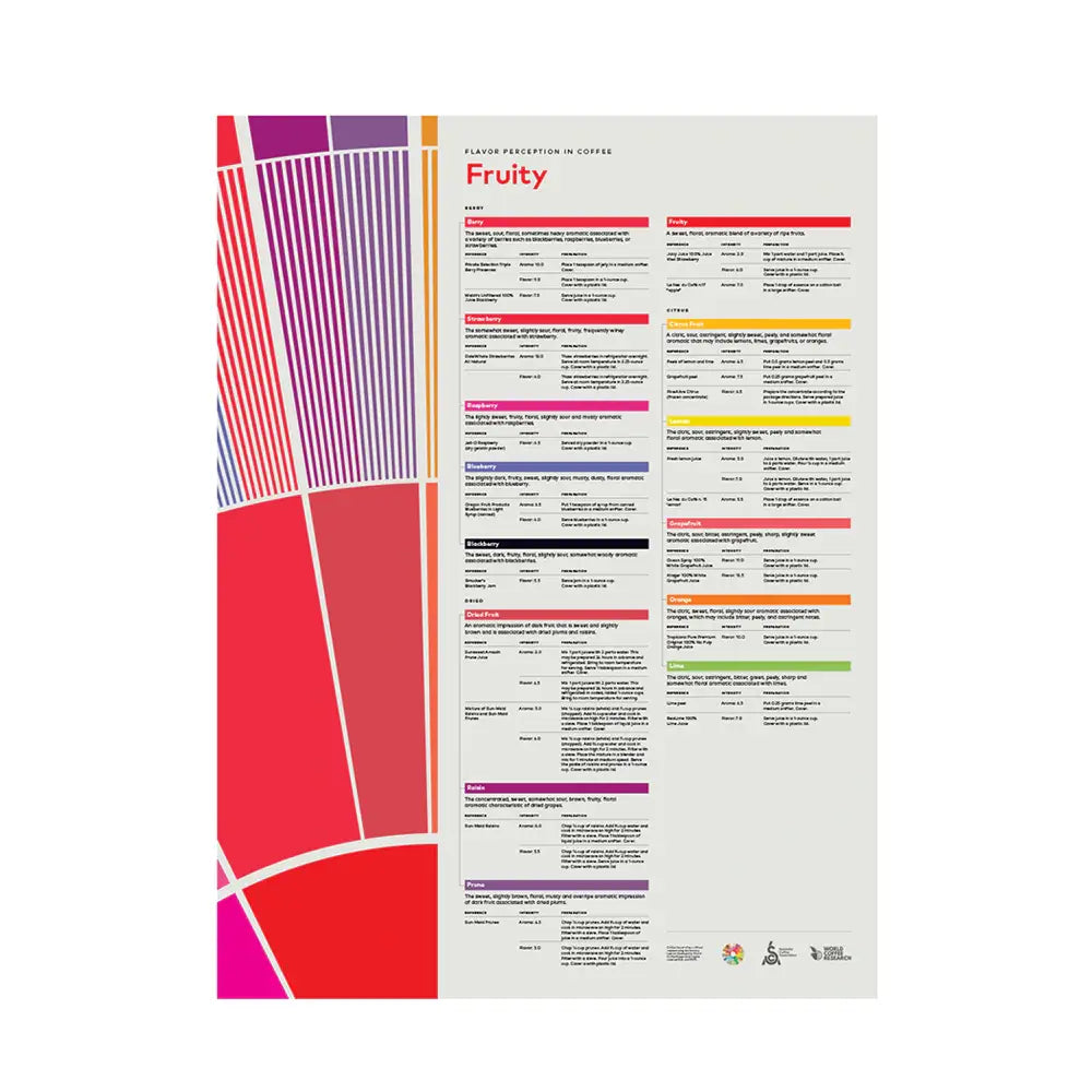 SCA Flavor Perception in Coffee – Fruity Poster