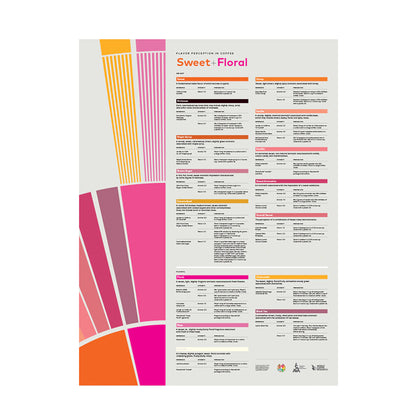 SCA Flavor Perception in Coffee – Sweet Floral Poster