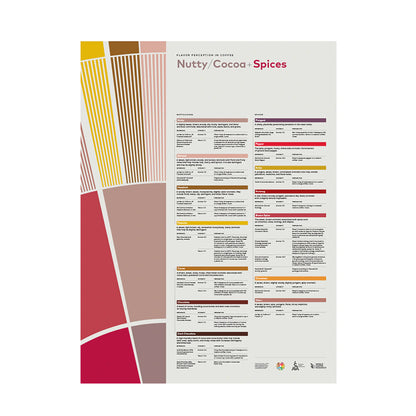SCA Flavor Perception in Coffee – Nutty Cocoa Spices Poster