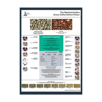 SCA Green Arabica Coffee Classification System Poster