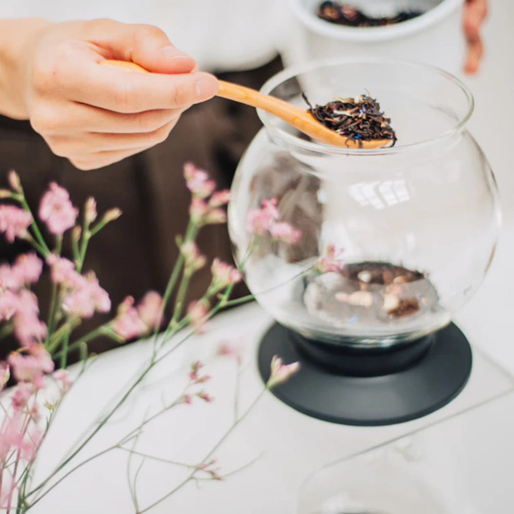 HARIO Tea Dripper "LARGO" Set