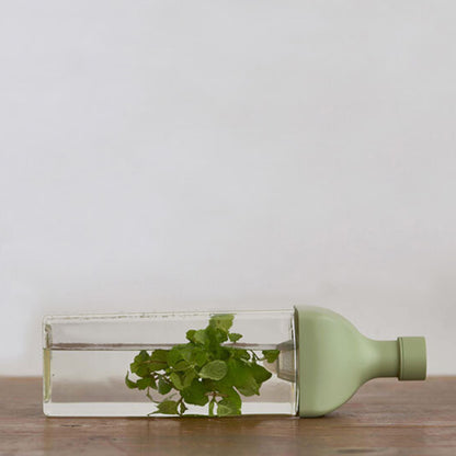 Hario Ka-Ku Cold Brew Bottle, Smokey Green 1200ml