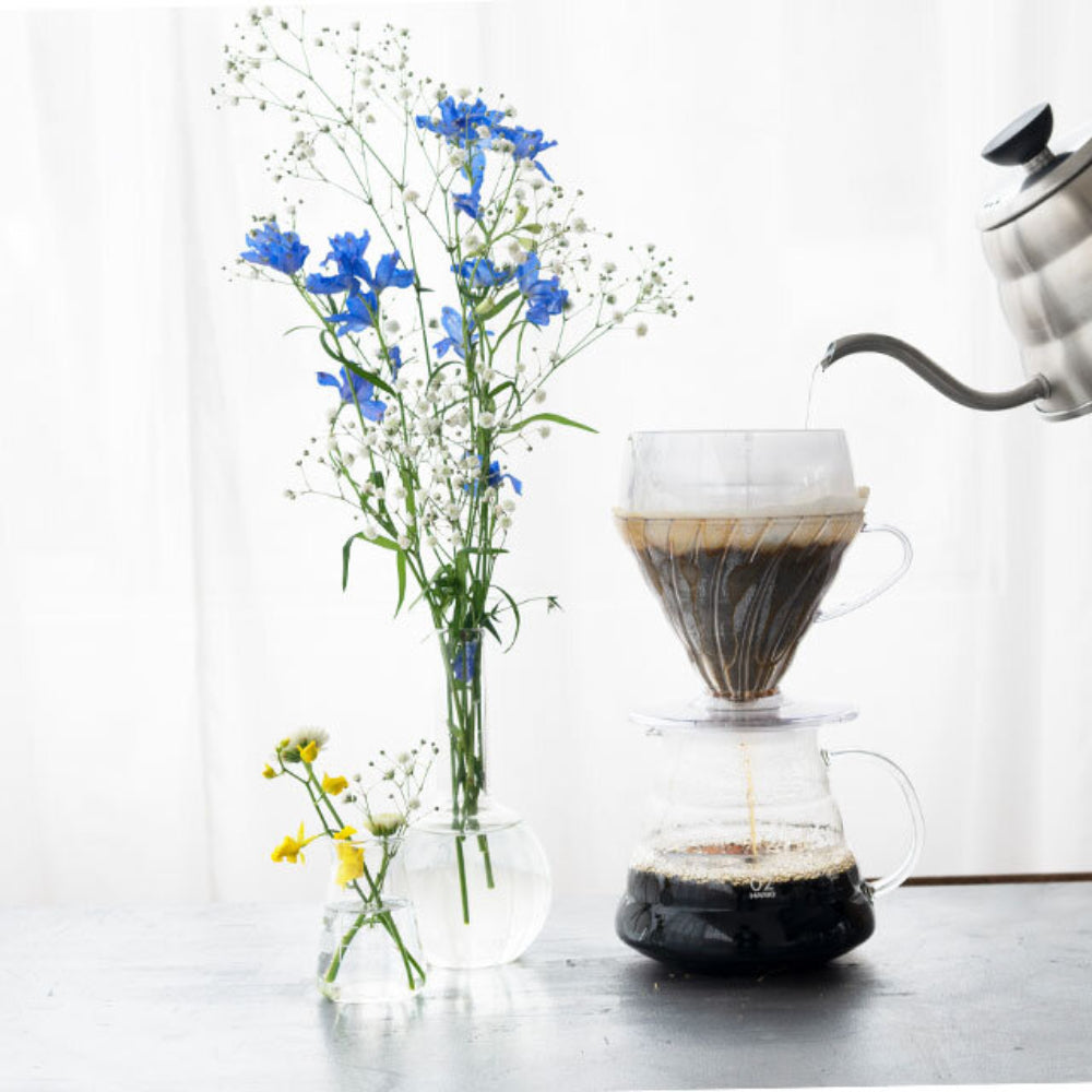 Hario V60 Drip-Assist