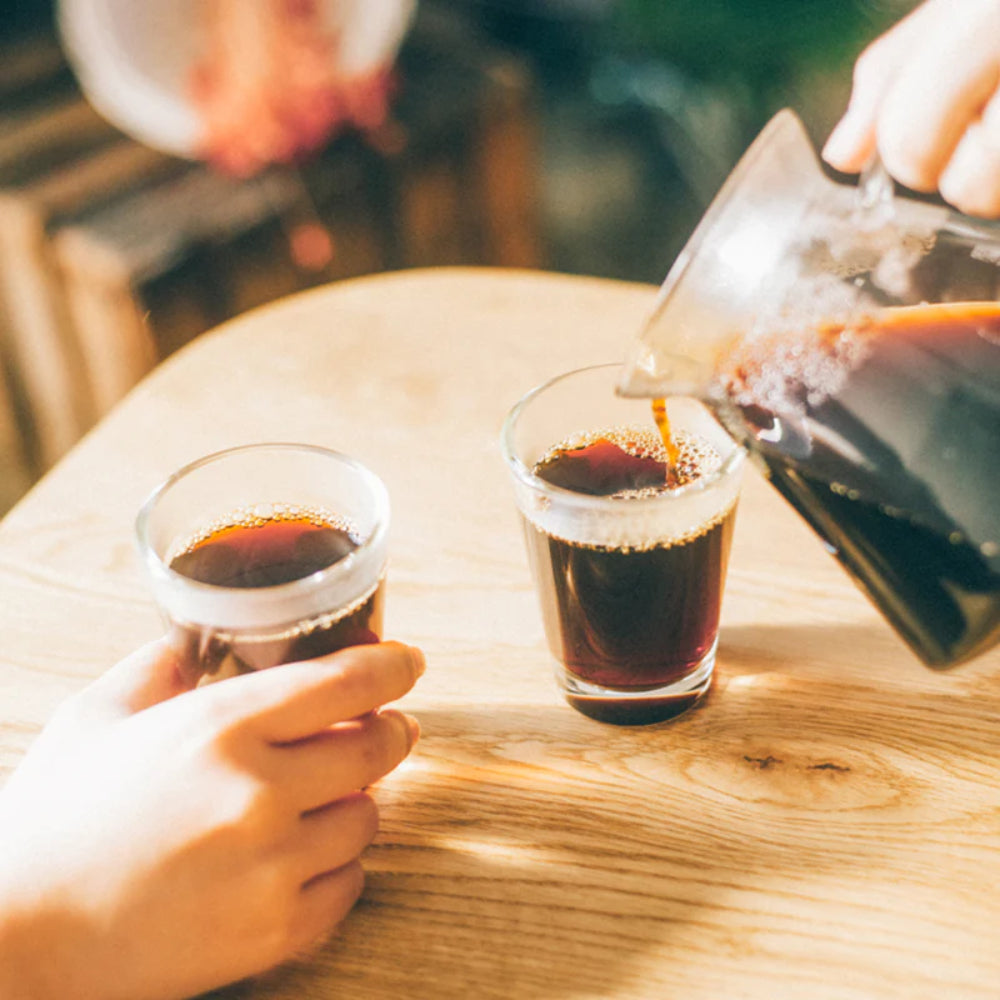 Hario V60 Glass Brewing Kit