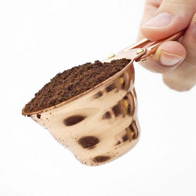 Hario V60 Measuring Spoon, Chrome