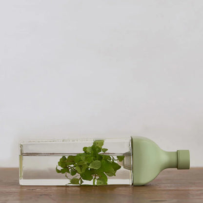 Hario Ka-Ku Cold Brew Bottle, Smokey Green 1200ml