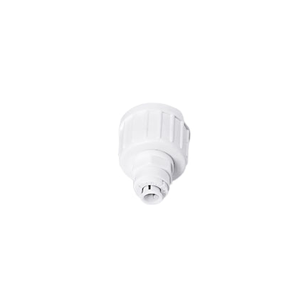 BG Inch Size Female Adaptor 1/4" X 3/4" F