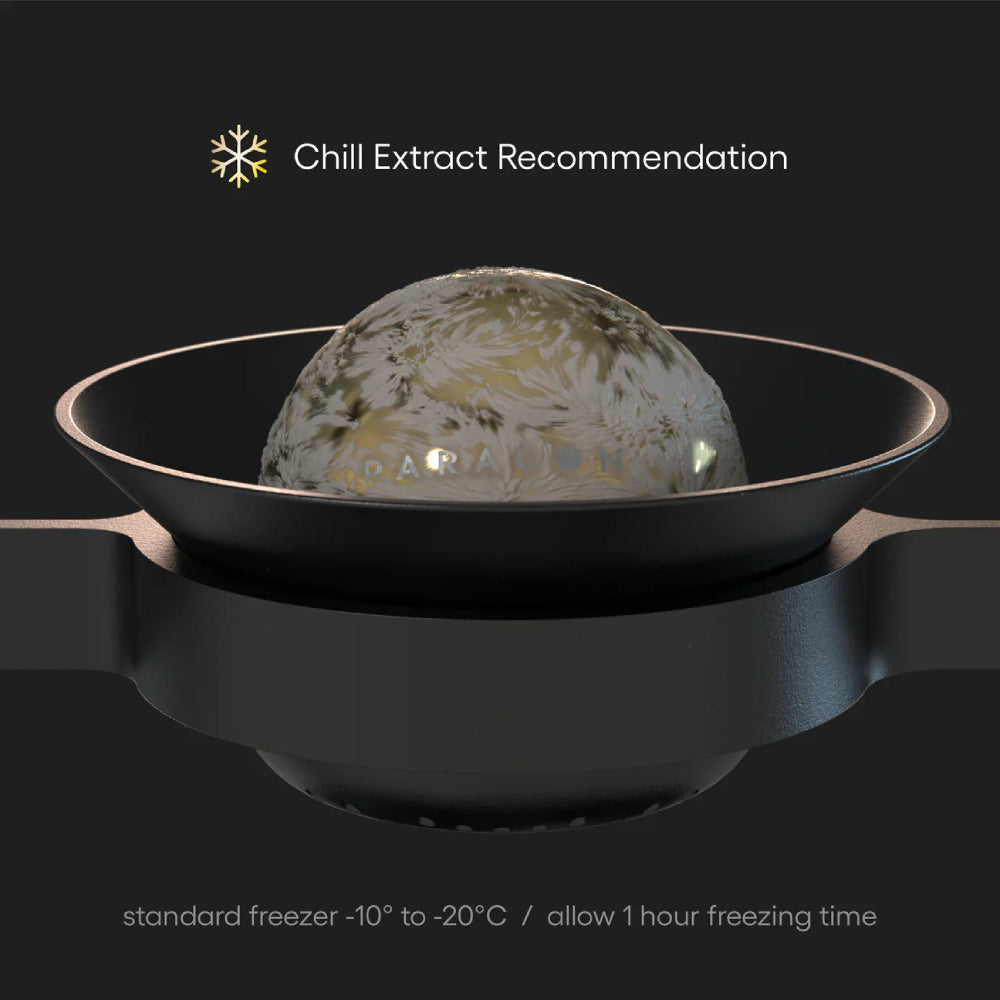 Nucleus Paragon Espresso Chilling Rock pack of 6