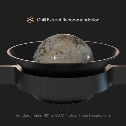 Nucleus Paragon Espresso Chilling Rock pack of 6