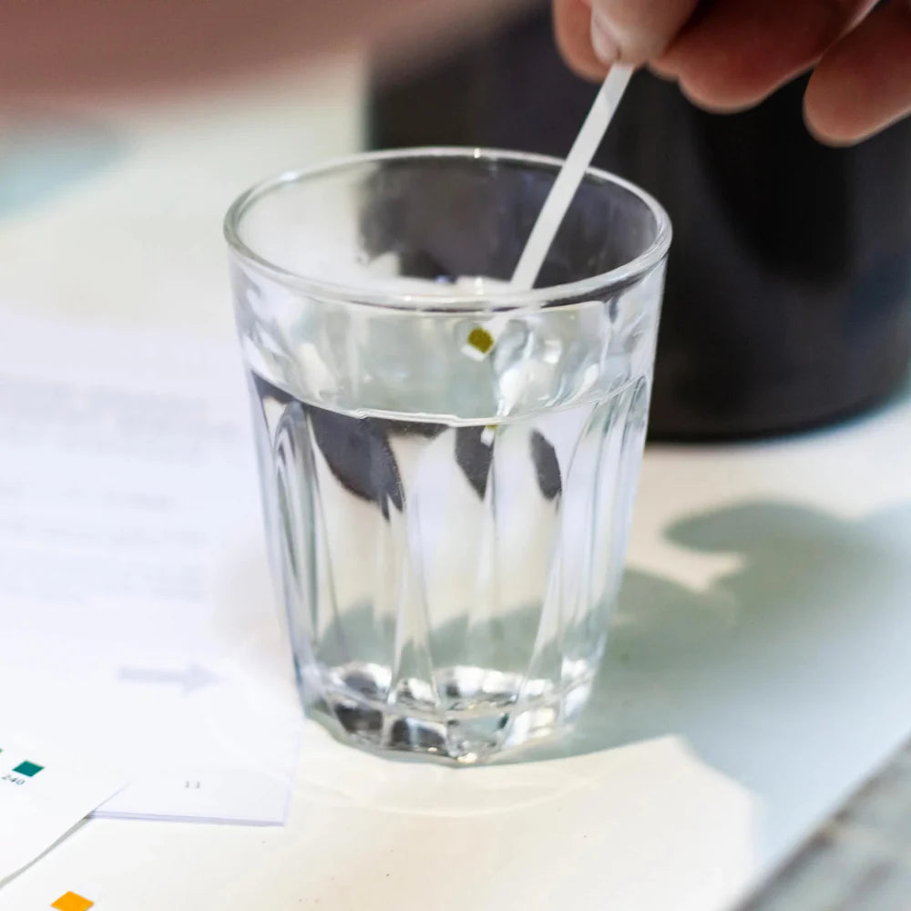 Peak Water Starter Pack - Transparent Charcoal