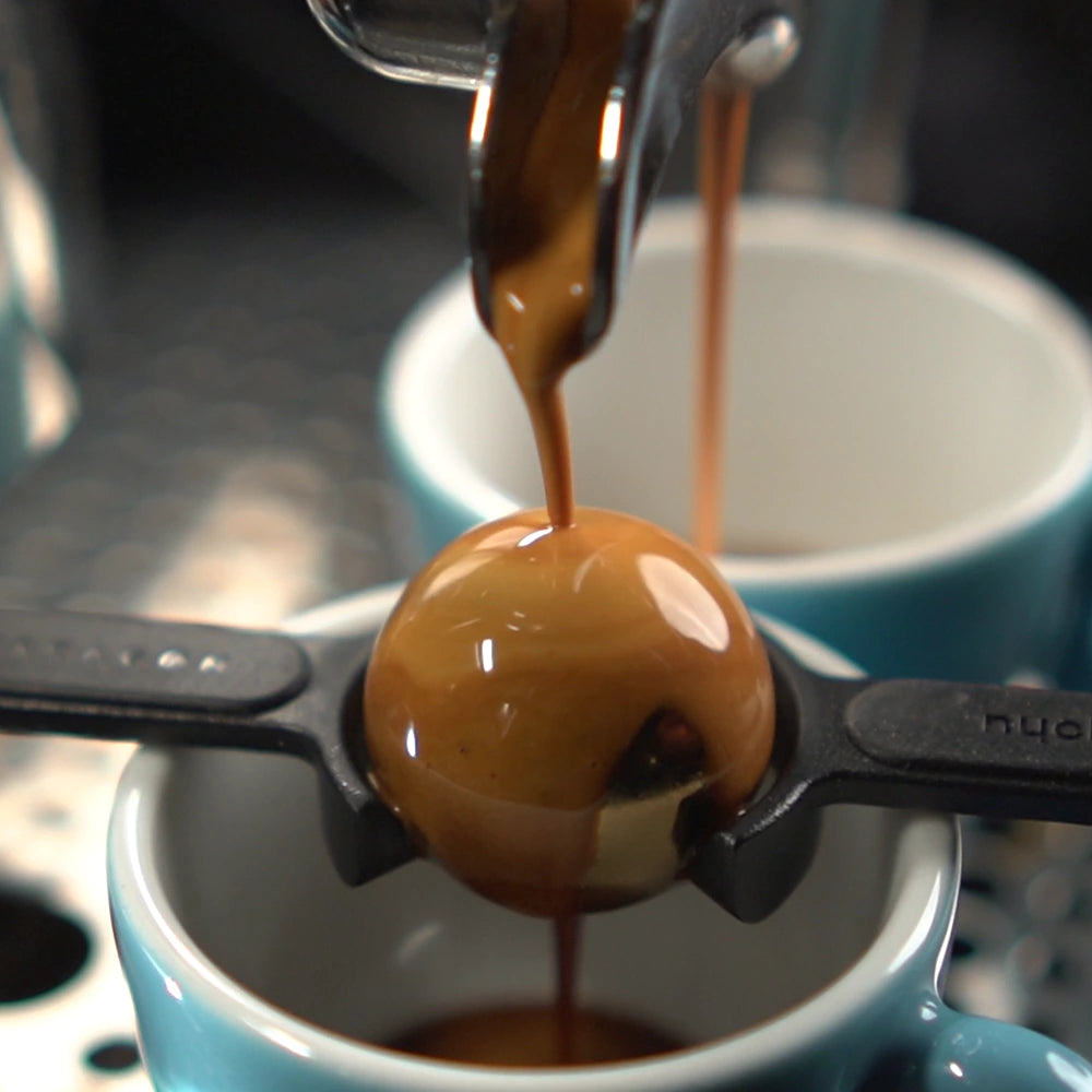 Nucleus Paragon Espresso