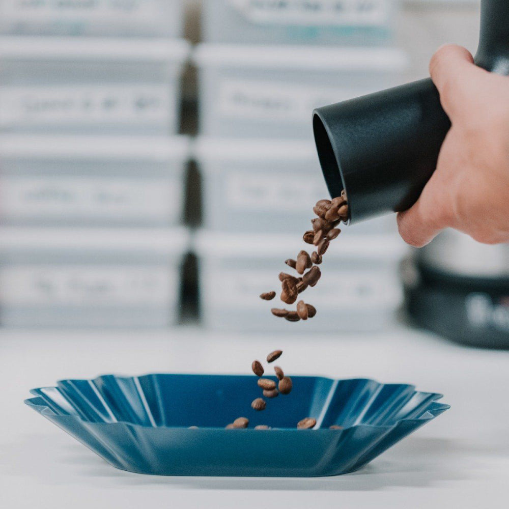Rhino Coffee Gear Bean Scoop