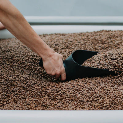 Rhino Coffee Gear Bean Scoop